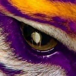 @bayouirish31