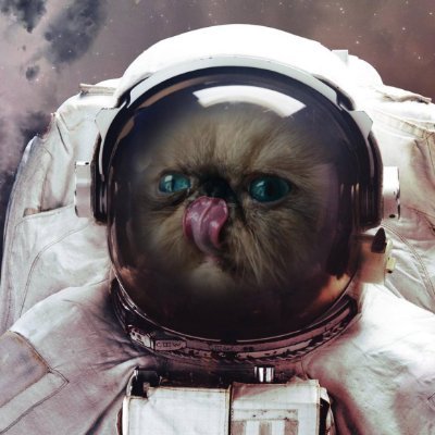 @cryptocat1618