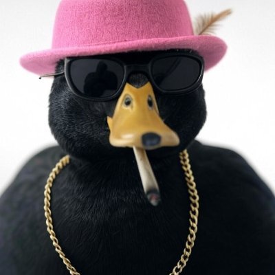 @duckpumplfg