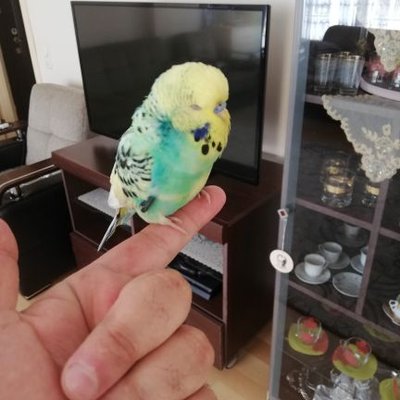 @erkn_dogn