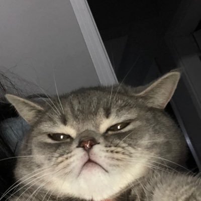 @rooundtrip