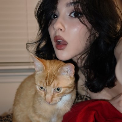 @zebshah2002